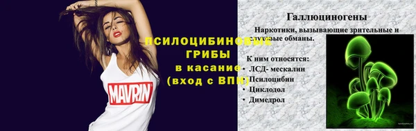 каннабис Аркадак
