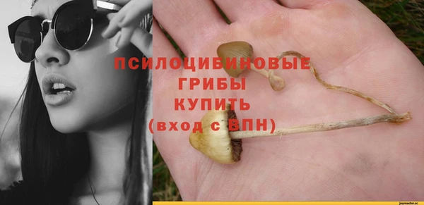 a pvp Армянск
