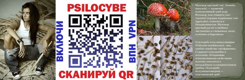 Псилоцибиновые грибы прущие грибы  Купить закладки  Протвино 
